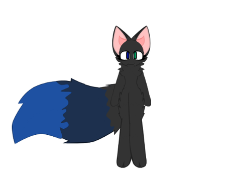 aki tail wag