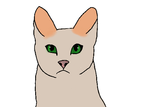 Sandstorm warrior cats