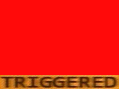 triggered meme 