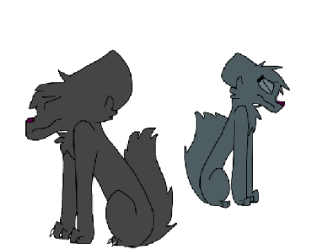 Seven years Graystripe or Blustar or Hollyleaf PMV M