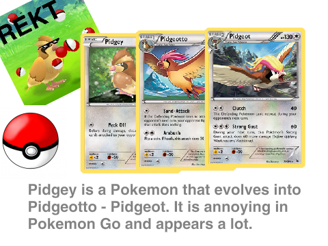 Pidgey Help    lol