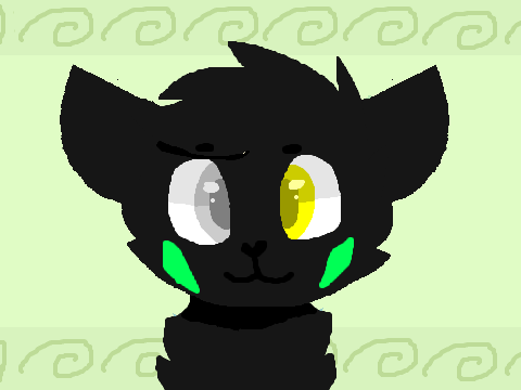 Panda Bear // MEME // 1000 followers remix