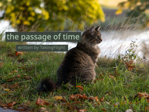 Writing Contest Entry ~ The Passage of Time