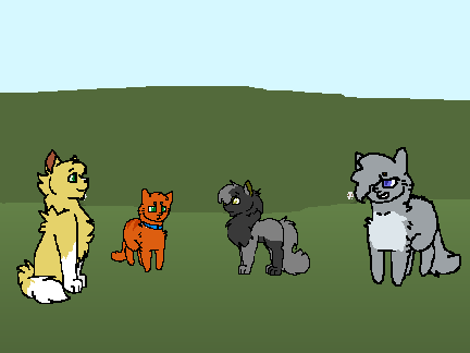Warrior cats into the wild: Chapter 2