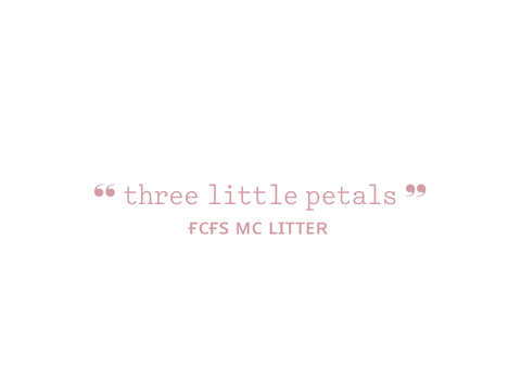 ˖ ִֶཐི༏ཋྀ ─ closed fcfs mc litter