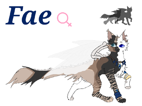 OC ref | Fae