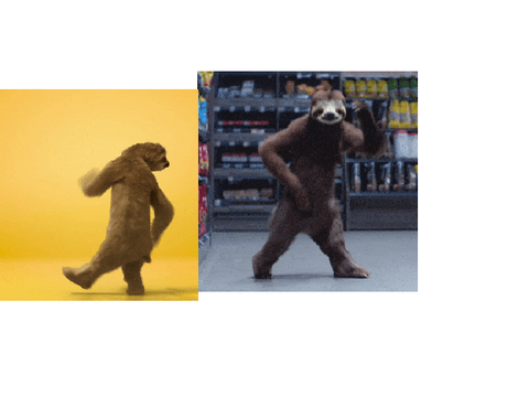 welcome to sloths basement