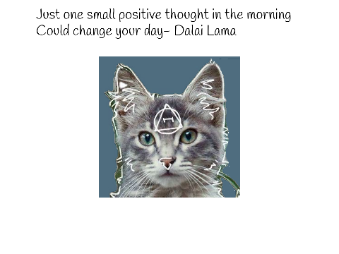 River's daily quotes 