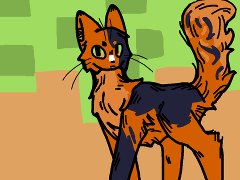 a cute kitty cat
