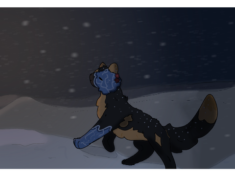 Entry for Black Ice