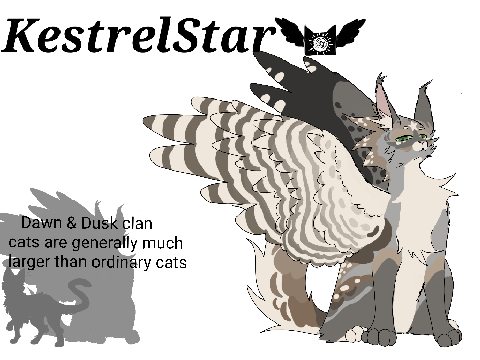 OC ref | KestrelStar