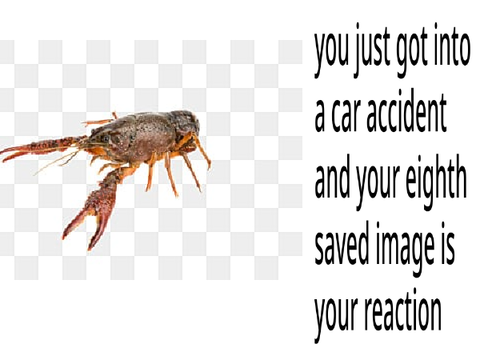 uhh