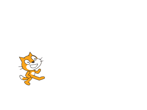 Crazy cat!