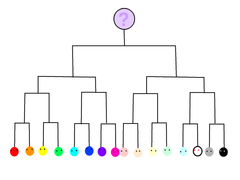 Colorosid Tournament Episode 2
