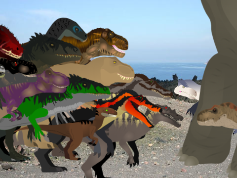 What are you guys doing?