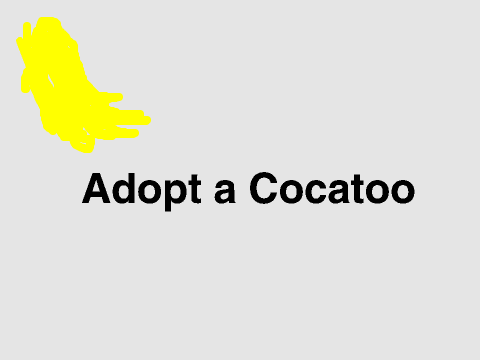 Adopt a Cocatoo