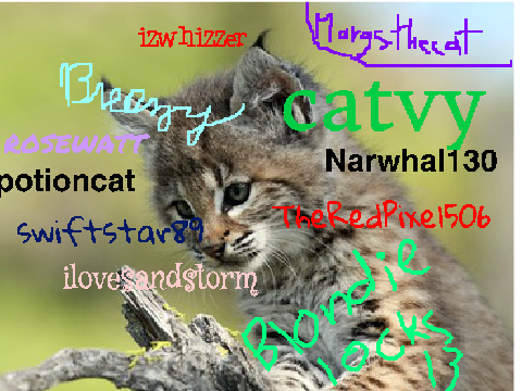 Sign here if you're against Bobcat hunting!  remix remix remix remix remix remix remix-2 remi… remix