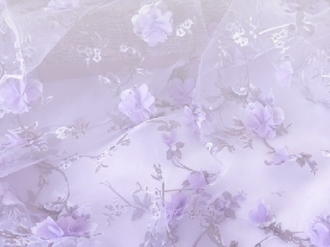 ✧*̥˚ Odelia's Relationship Finder *̥˚✧