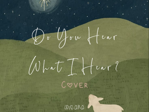 do you hear what i hear? .°┊cover
