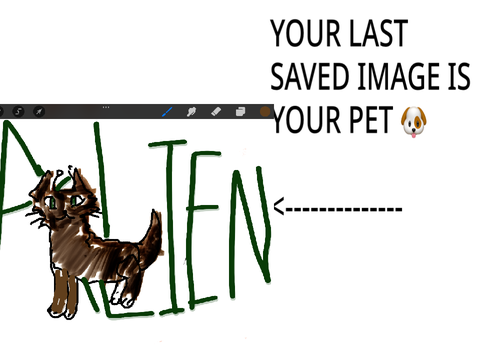 Your last saved image is your pet remix