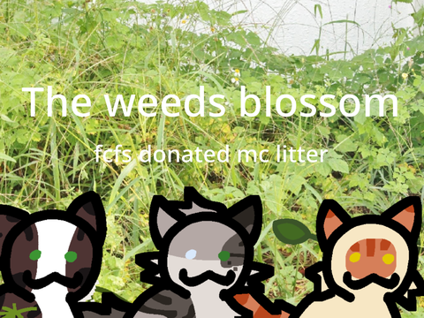❝ the weeds blossom ❞ - fcfs donated mc litter