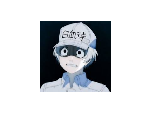 hiatus || notice