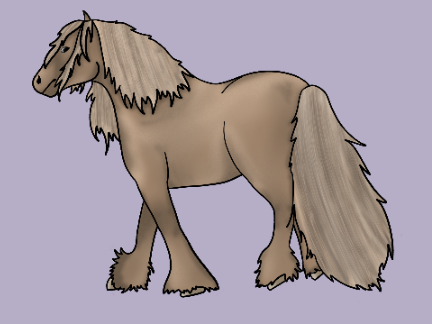 New Horse!