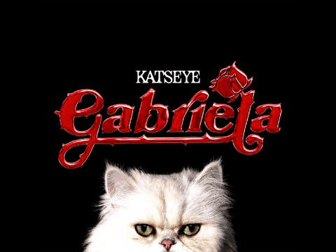 Katseye - Gabriela remix