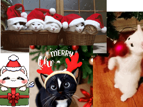 cat chrismas!!
