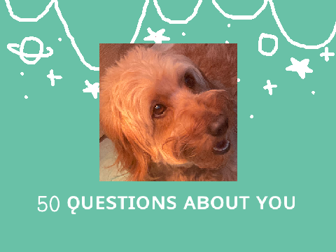 50 Questions about yours truly ✨ 