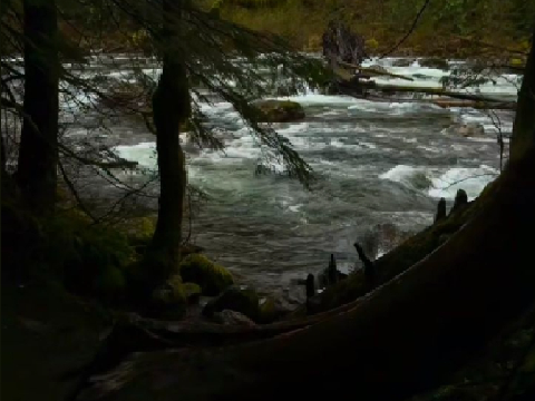❛❛When the river flows to a stop❜❜