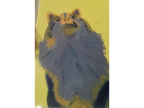 Pet portrat progress