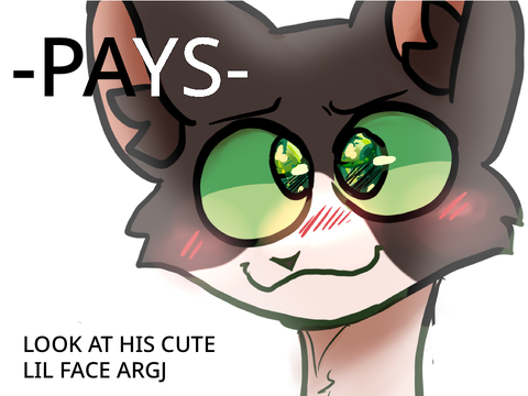 Ych pays last 2