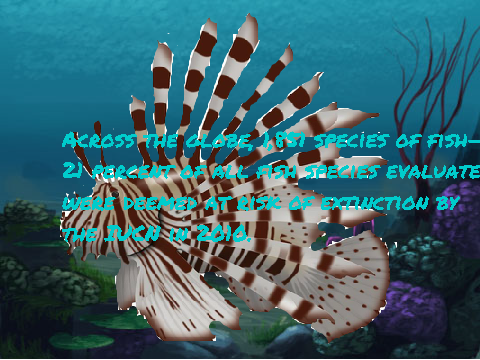 Overfishing ~ School Project