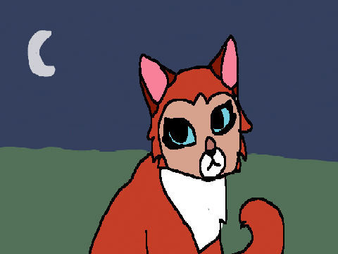 ☾ - Elegant Kitty - ☾