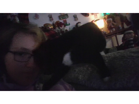 Kitty 