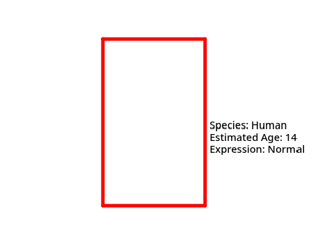 Face Identifier