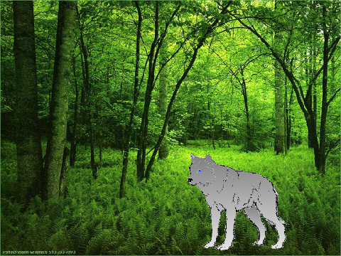 wolf clans episode 1