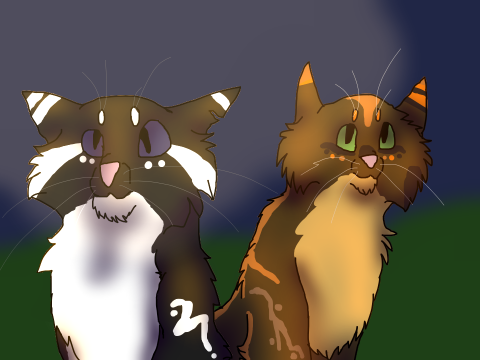 Badger and Whiskers