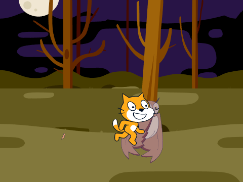 owl and scratch cat test