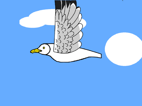 Seagull Animation