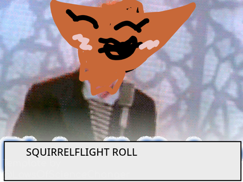 SQUIRRELFLIGHT ROLL