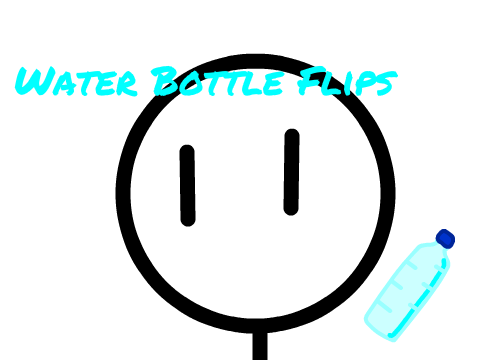 When You Water Bottle Flip