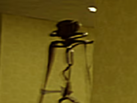 thing