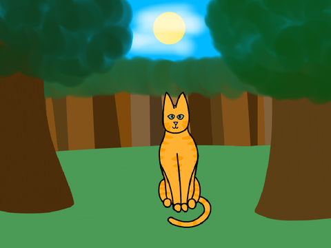 Cat Animation