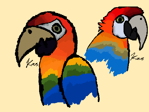 Birds!