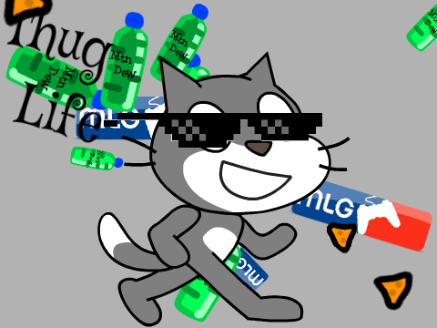 Water bottle flip