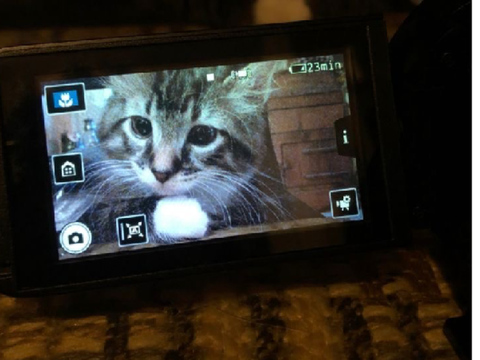 chat -☆
