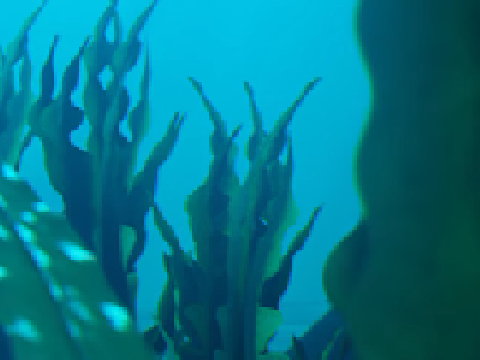 Project thumbnail