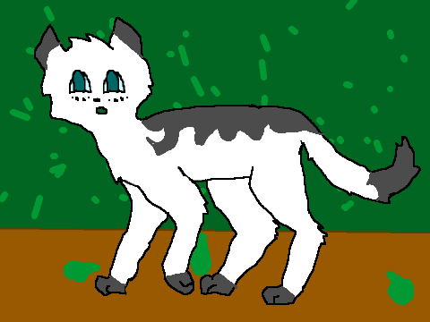 Animation YAAAA!!!!!!!!!